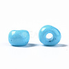 6/0 Glass Seed Beads SEED-S058-A-F298-5