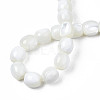 Natural Trochid Shell/Trochus Beads Strands SSHEL-N027-130A-01-4