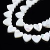 Natural Trochid Shell/Trochus Shell Beads Strands SSHEL-N034-98A-B01-3