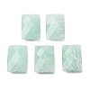 Natural Amazonite Beads GG-C001-01F-1