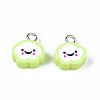 Handmade Polymer Clay Charms LS-CLAY-N006-37B-01I-2