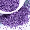 MIYUKI Delica Beads SEED-X0054-DB0660-1