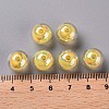 Transparent Acrylic Beads TACR-S152-16B-SS2105-4