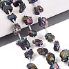 Electroplate Raw Rough Natural Amethyst Beads Strands G-Q610-06C-1