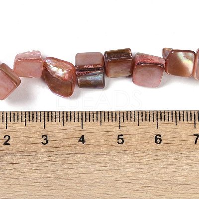 Dyed Natural Freshwater Shell Beads Strands SHEL-P016-01G-1