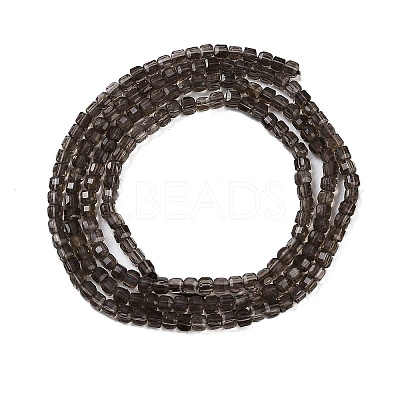 Natural Smoky Quartz Beads Strands G-P553-E06-01-1