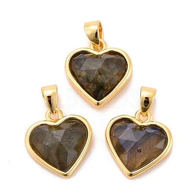 Natural Labradorite Charms G-E538-02G-02-1