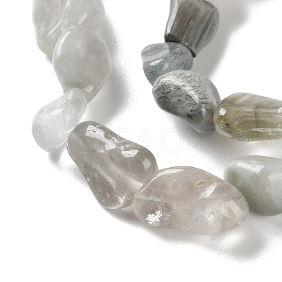 Natural Eagle Eye Stone Beads Strands G-P497-01C-14-1