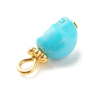Dyed Synthetic Turquoise Charms PALLOY-JF01452-02-1