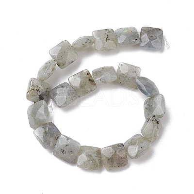 Natural Labradorite Beads Strands G-K359-B17-01-1