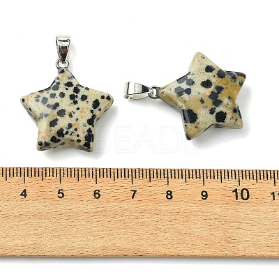 Natural Dalmatian Jasper Pendants GG-K002-10E-1