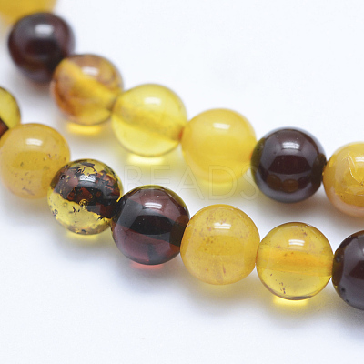 Natural Amber Beads Strands G-P336-16-6mm-1