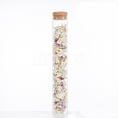 Mini High Borosilicate Glass Bottle Bead Containers BOTT-PW0001-262I-1