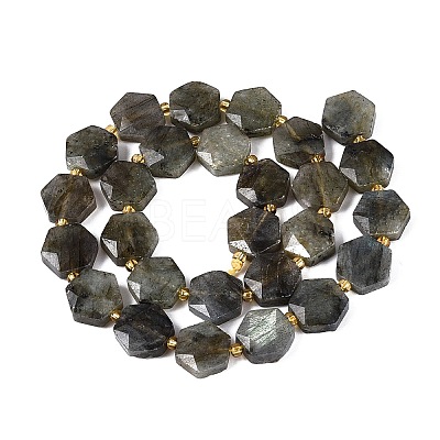 Natural Labradorite Beads Strands G-N368-01A-07-1