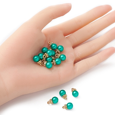 ABS Plastic Charms KY-YW0001-24B-1