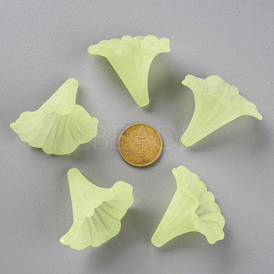 Transparent Acrylic Beads BSF796-C17-1