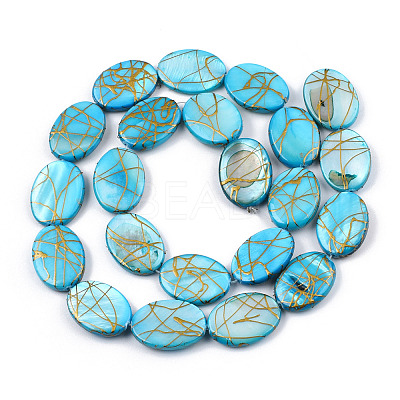 Natural Freshwater Shell Beads Strands X-SSHEL-T007-17-1