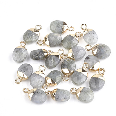 Electroplate Natural Labradorite Charms G-S344-09D-1