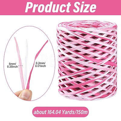 1 Roll Segment Dyed Raffia Paper Cords for DIY Craft OCOR-CJ0004-12-1