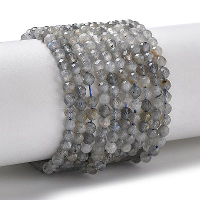 Natural Labradorite Beads Strands G-L651-C11-4mm-1