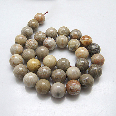 Natural Fossil Coral Beads Strands X-G-G212-6mm-31-1
