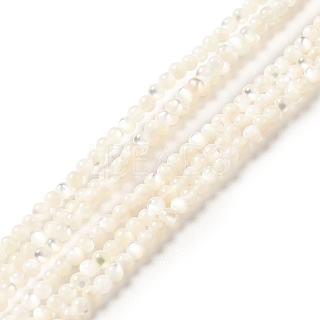 Natural White Shell Beads Strands SHEL-G014-14-1
