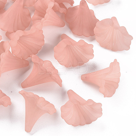 Transparent Acrylic Beads BSF796-C11-1