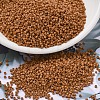 MIYUKI Delica Beads SEED-X0054-DB2287-1