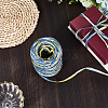 6 Colors Raffia Paper Cords OCOR-WH0063-110C-7