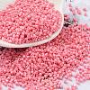 Baking Paint Glass Seed Beads X-SEED-S042-05B-86-1