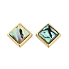 Natural Paua Shell Beads SSHEL-M024-03C-G-1