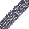 Natural Sapphire Beads Strands G-R460-016-1