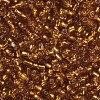 6/0 Glass Seed Beads X1-SEED-A005-4mm-22C-2