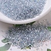 MIYUKI Delica Beads Small SEED-JP0008-DBS0110-1