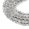 Natural Labradorite Beads Strands G-H336-A08-02-4