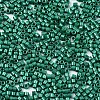 11/0 Grade A Baking Paint Glass Seed Beads X-SEED-S030-1039-2