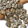 Natural Dalmatian Jasper Beads Strands G-A292-A06-01-1