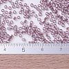 MIYUKI Delica Beads Small SEED-J020-DBS0173-4