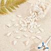 Natural Trumpet Shell Beads BSHE-SC0001-03-4