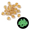Luminous Transparent Acrylic Beads OACR-P037-01B-F-1