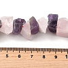 Natural Rose Quartz & Amethyst Beads Strands G-I283-F10-5