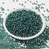 MIYUKI Round Rocailles Beads SEED-JP0009-RR3741-3