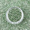 FGB 11/0 Grade A Glass Seed Beads X-SEED-S030-1217-3