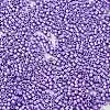 Baking Paint Glass Seed Beads SEED-S042-15B-32-3