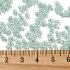 Ceylon Glass Seed Beads SEED-K009-02B-26-4