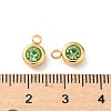 304 Stainless Steel Charms STAS-Z115-01G-01-3
