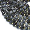 Natural Snowflake Obsidian Beads Strands G-K389-E86-01-3
