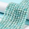 Natural Amazonite Beads Strands G-J400-A07-03-2