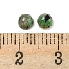 Natural African Turquoise(Jasper) Cabochons G-H309-03-61-3