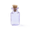 Rectangle Miniature Glass Bottles GLAA-H019-06B-1